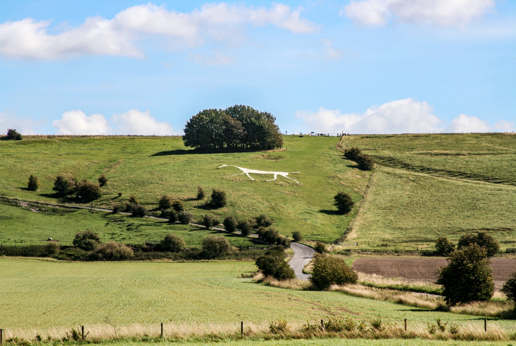 /gallery/west_europe/UK/Oxfordshire/vale of white horse/Vale of the White Horse, UK-1b_med.jpg
